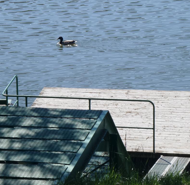 Tiszavirag Nyaralohaz Villa Szeged Buitenkant foto