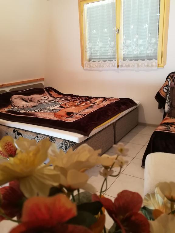Tiszavirag Nyaralohaz Villa Szeged Buitenkant foto